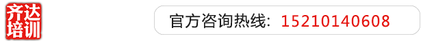 大鸡巴肏日本屄在线观看齐达艺考文化课-艺术生文化课,艺术类文化课,艺考生文化课logo